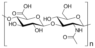 Hyaluronic Acid