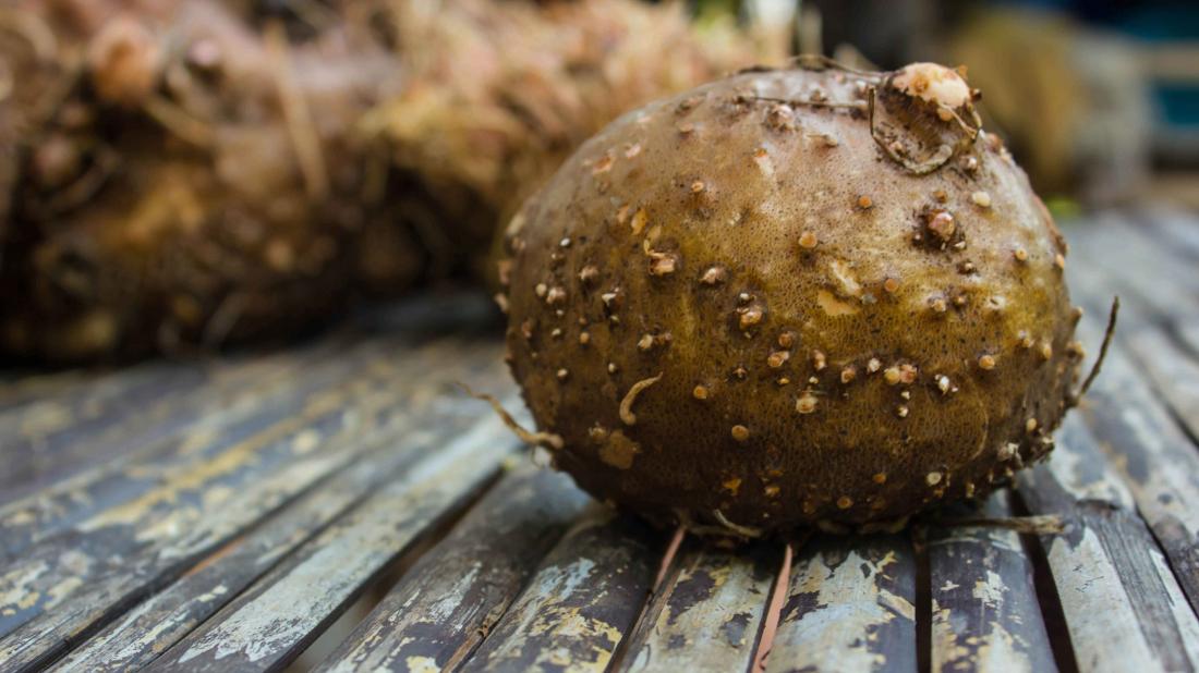 Konjac Mannan (Glucomannan)